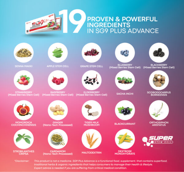 SG9 Plus Advance - Image 2